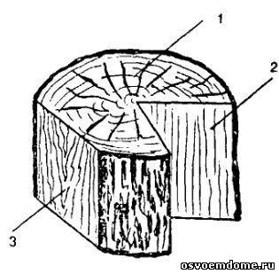 Основные распилы ствола